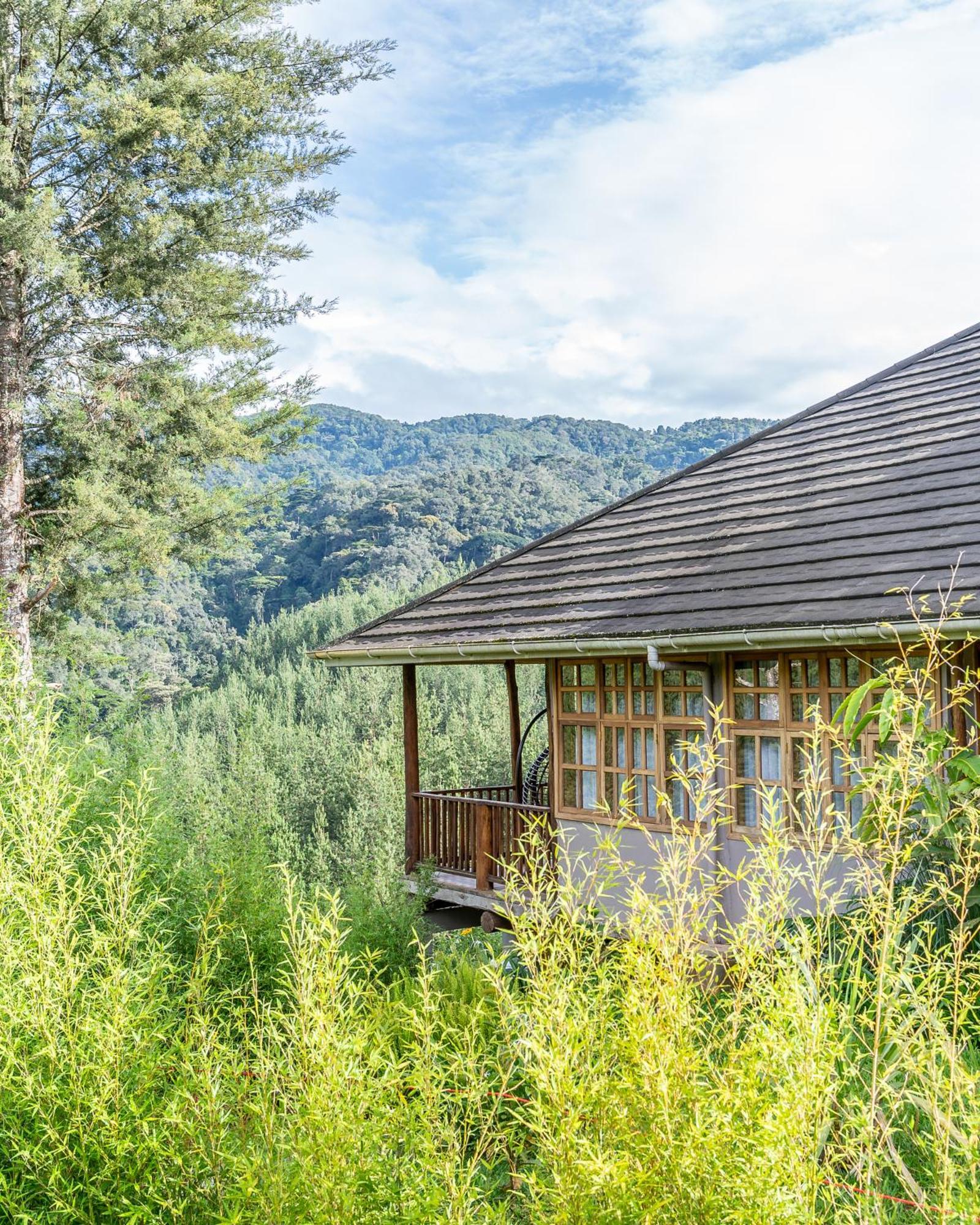 Gorilla Leisure Lodge Kisoro Kültér fotó